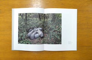 中井川由季作品集「森にかくれる」
